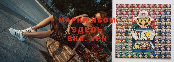эйфоретик Аркадак