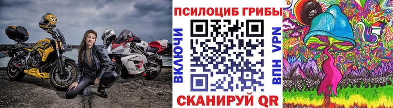 Псилоцибиновые грибы Psilocybe  Пустошка 